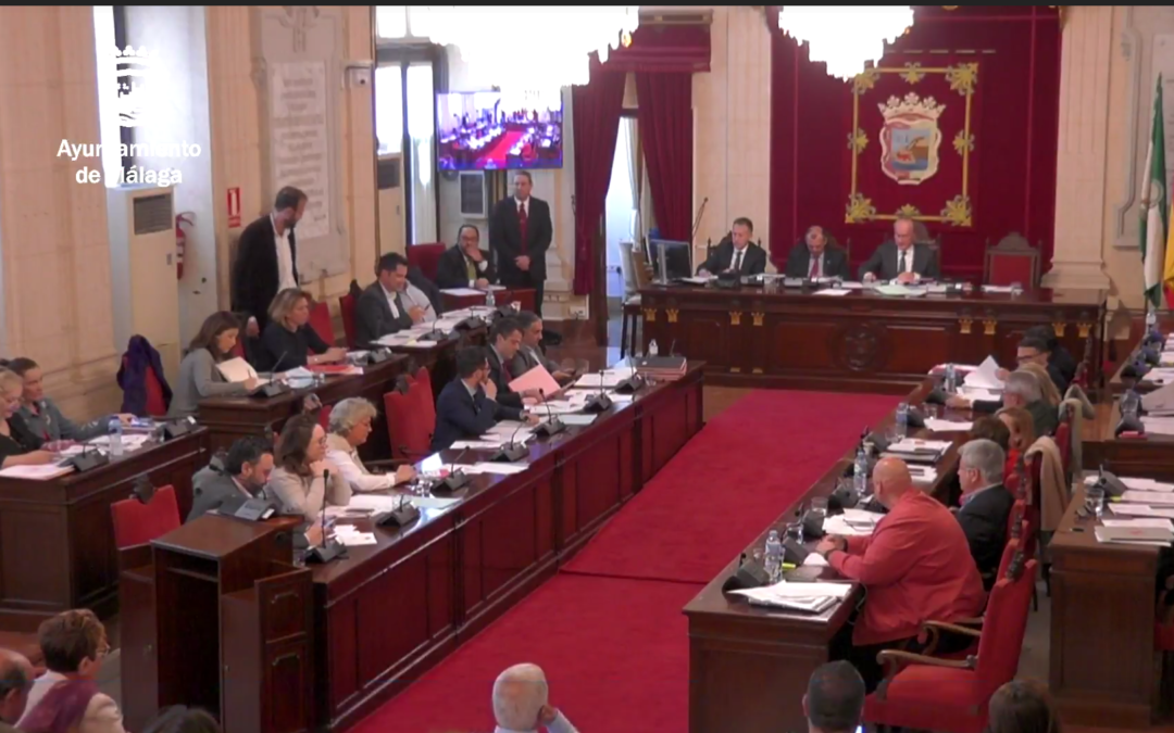 El pleno del Ayuntamiento de Málaga reitera su apoyo mayoritario a la Torre del Puerto